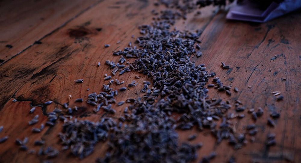 lavender-and-insomnia